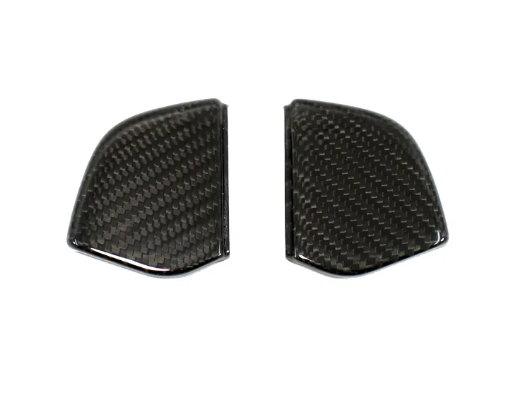 Mercedes Benz SLK Lateral Insert Door Cover - Carbon Fiber - R172